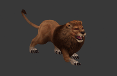 Gif animé lion position attaque